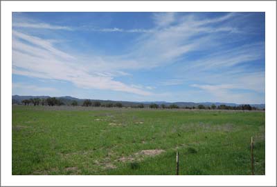 Monterey County Land For Sale - Vineyard Potential - San Antonio Valley AVA Land - 40 Acres