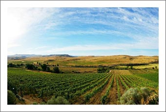 Idaho Ranch, Winery & Vineyard For Sale - 3 Horse Ranch Vineyards - Wine Country Real Estate