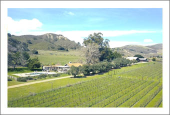 Santa Barbara Winery & Vineyard For Sale - Farmhouse, Casita, Barn & Pool - Farmhouse For Sale