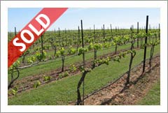Oklahoma Vineyard and Home For Sale -  Agra, Oklahoma - Wine Real Estate