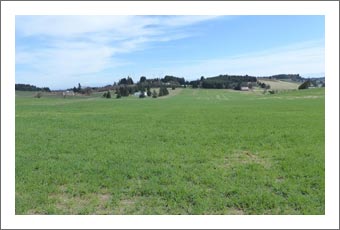 Oregon Vineyard Land For Sale - 