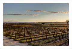 Vineyard For Sale - Wine Country Estate For Sale - Paso Robles, Ca