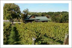 North Carolina Vineyard For Sale -  Charming Log Cabin / Wine County Home and Land (31+ Acres) For Sale - Real Estate
