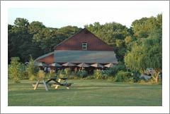 Connecticut Winery, Vineyard, and Home For Sale - CT Real Estate