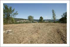 Vineyard Land For Sale - Santa Cruz County Land For Sale - Wine Country Real Estate