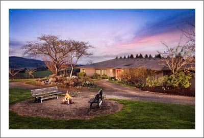 Oregon Winery & Vineyard For Sale - Willamette Valley Vineyard and Winery For Sale 