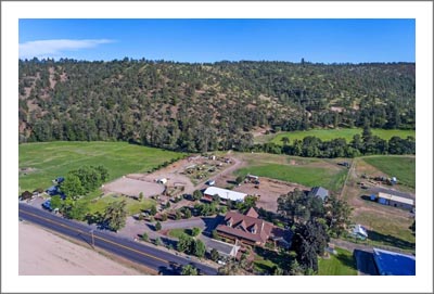 Oregon Craftsman Style Home For Sale w/ Tillable Farmland and Woods - Vineyard Potential Real Estate