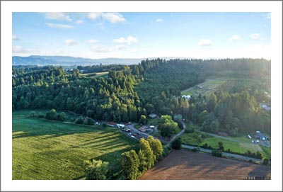 Oregon Winery & Vineyard For Sale - Willamette Valley Vineyard and Winery For Sale 