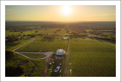 Texas Hill Country Winery For Sale - Texas Hill Country Wine Country Real Estate
