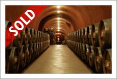  Napa Valley Vineyard and Winery For Sale - Wine Caves - Napa Valley - Wine Real Estate