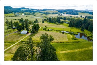 Oregon Vineyard For Sale - Lane County Vineyard For Sale - Hay Farm For Sale - Oregon Real Estate