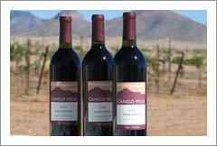 Wineries For Sale - Arizona Turn-Key Winery, Vineyard and Home For Sale - Arizona Wine Country