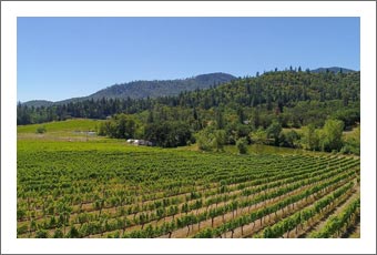 Oregon Vineyard For Sale - Mulitple Ponds, Large Shop (Winery Potential) Jackson County Farm For Sale - Oregon Real Estate