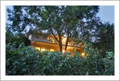Los Altos Hills Vineyard For Sale - Santa Clara County, CA - Wine Country Home and Vineyard For Sale