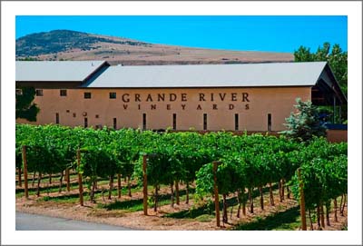 Colorado Winery For Sale - Winery, Tasting Room and Vineyard For Sale - Palisade, Colorado Wine Country Real Estate - Grand Valley AVA
