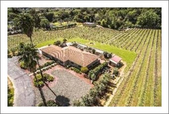 Napa Valley Vineyard Estate For Sale - Luxury Wine Country Home