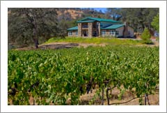 Sierra Foothills Vineyard For Sale - Large Custom Lodge Style Home For Sale - Mariposa Wine Country Real Estate