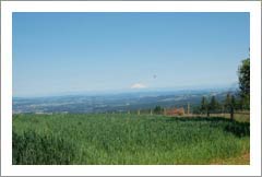 Oregon Wine Country Home For Sale - Vineyard Potential Land - Hillsboro, OR