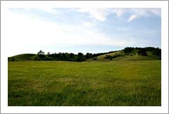 Oregon Vineyard Land For Sale - Vineyard Potential - Restored Wine Country Farmhouse