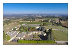 Oregon Luxury Horse Farm, Estate, Pinot Noir Vineyard and Winery For Sale - Oregon Wine Country