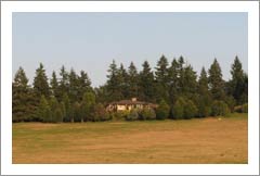 Eugene, Oregon Auction - Land and Wine Country Home For Sale