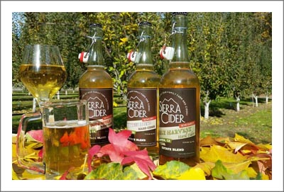 Cidery For Sale - Sierra Cider - Sierra Foothills, California Cidery For Sale w/ Hard Apple Cider Orchard and Business