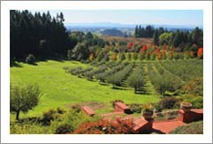 Oregon Mansion For Sale - Organic Vineyard and Orchard For Sale - Oregon Wine Country Real Estate