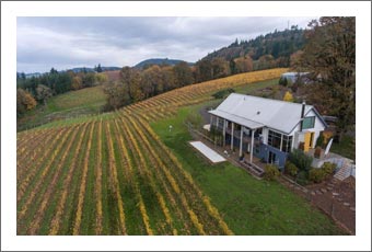 Willamette Valley Vineyard & Contemporary / Modern Home For Sale - Eola-Amity Hills AVA - Oregon Wine Country Real Estate