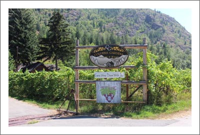 British Columbia Winery For Sale - Canada Vineyard For Sale with Retail Store - Wine Country Real Estate