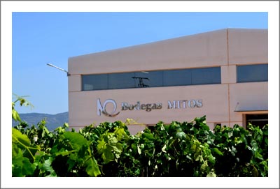 Spanish Winery For Sale - Spain Vineyard For Sale - High Production Winery For Sale