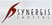 Synergis Capital