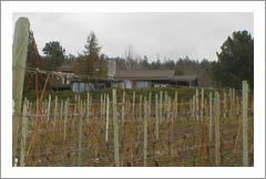 Naramata BC Vineyard and Home For Sale - Naramata, Canada - Wine Real Estate