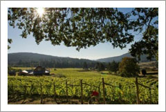 Salt Spring Vineyard and Winery  For Sale