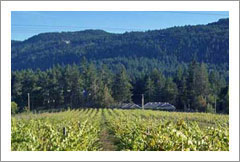 Salt Spring Vineyard and Home For sale - Wine Real Estate