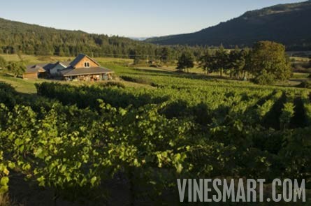 Salt Spring Vineyard and Winery For Sale - View of the Vineyard and Home