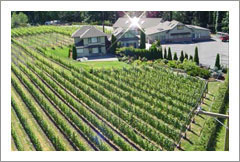 Vancouver BC Winery and Vineyard For Sale