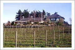 Victoria, Vancouver Island  BC Canada - Vineyard, Winery, and Home For Sale - Home and Vineyard