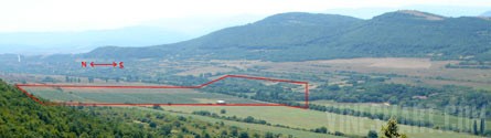 Bulgaria Vineyard and Land For Sale - Wine Real Estate