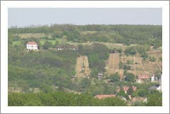 Hungary - Vineyard Land For Sale and Home