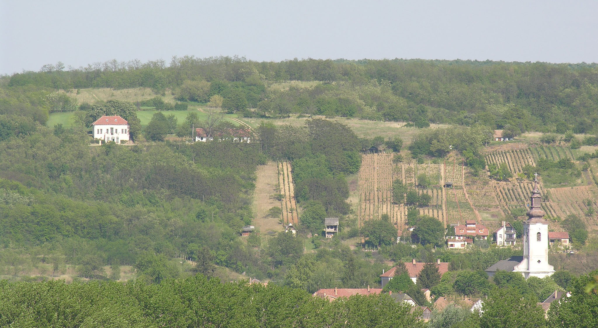 Index of /real_estate/listings/europe/hungary/hungary_vineyards_for