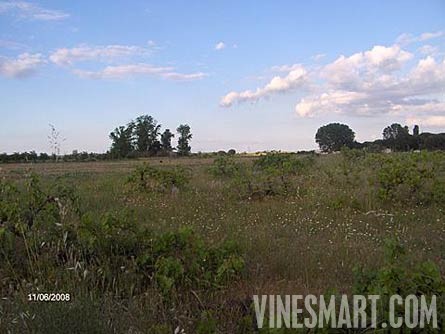 Zamora, Spain - Vineyard and Land For Sale - Spanish - Wine Real Estate