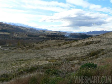 Central Otago Vineyard Land Property For Sale By Tender - Wine Real Estate