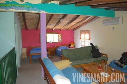 Argentina Vineyard and Large Home For Sale - Mendoza, Argentina - Wine Real Estate