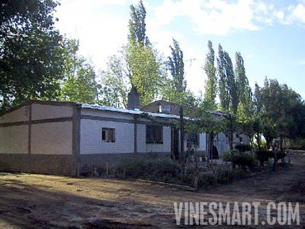 Argentina Wine Vineyard and Ochard For Sale - Wine Real Estate