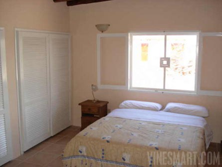 VineSmart - 15 Acres with Home, Apricot Orchard and Plantable Land For Sale - Mendoza, Argentina - Wine Real Estate