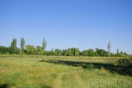 VineSmart - 41 Acres of Open Land Ready for Development For Sale - Mendoza, Argentina - Wine Real Estate