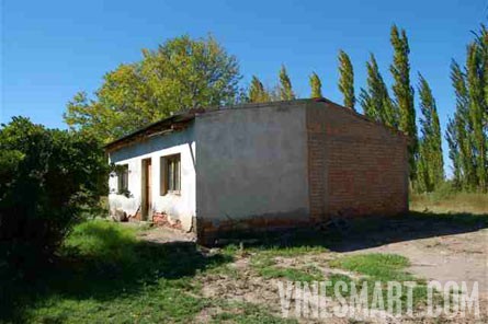 Argentina Farm For Sale - Vineyard, Orchard, and Home For Sale - Wine Real Estate
