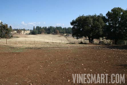 Volcano, Ca - Home and Vineyard For Sale - Usable Land