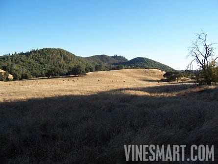 El Dorado County - Winery and Vineyard For Sale - French Valley