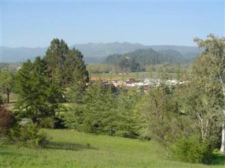 Napa Valley Winery, Vineyard, and Brand - St. Helena,California - Wine Real Estate